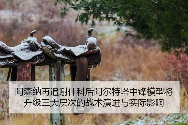 阿森纳再追谢什科后阿尔特塔中锋模型将升级三大层次的战术演进与实际影响