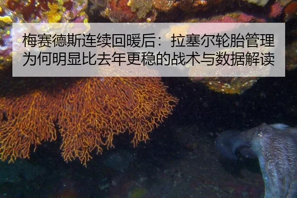 梅赛德斯连续回暖后：拉塞尔轮胎管理为何明显比去年更稳的战术与数据解读
